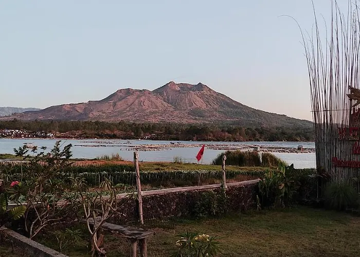 Kedisan Lakeview