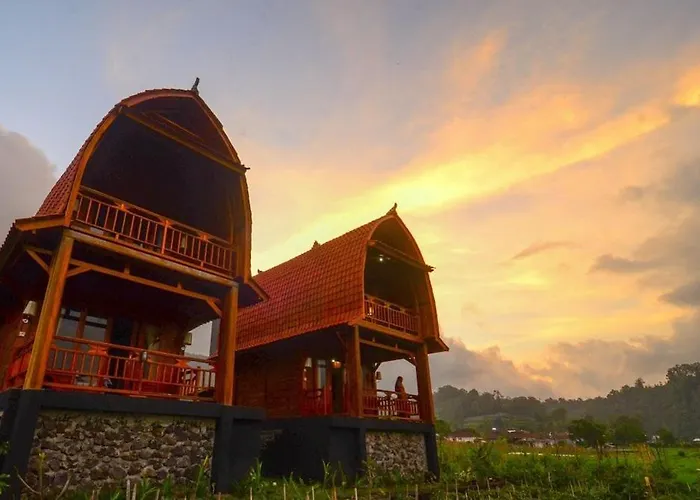 Kedisan Lakeview