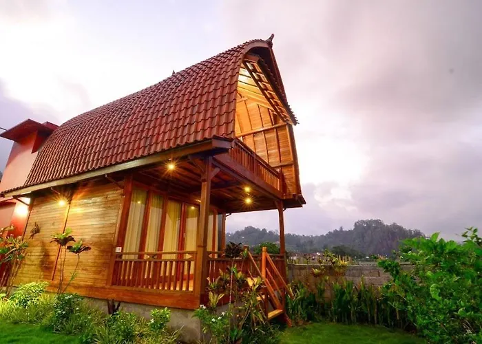 Kedisan Lakeview Kintamani