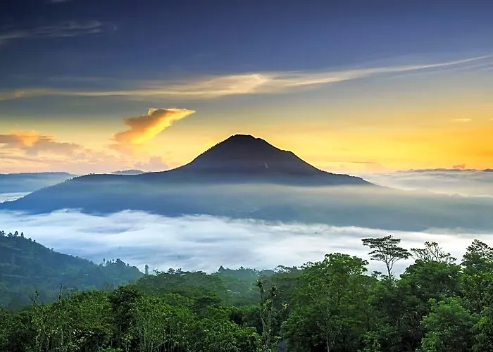Kedisan Lakeview